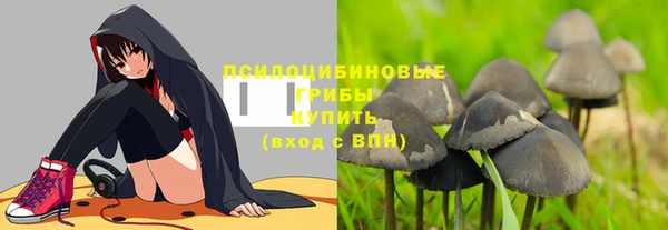 МДПВ Алзамай