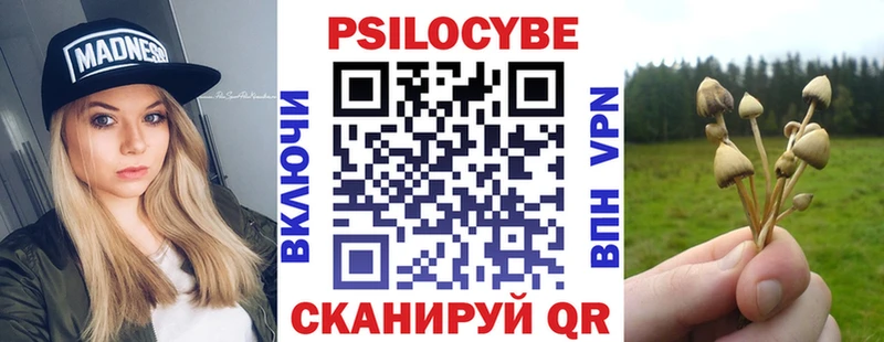 где продают наркотики  Отрадная  мега как зайти  Псилоцибиновые грибы Psilocybe 